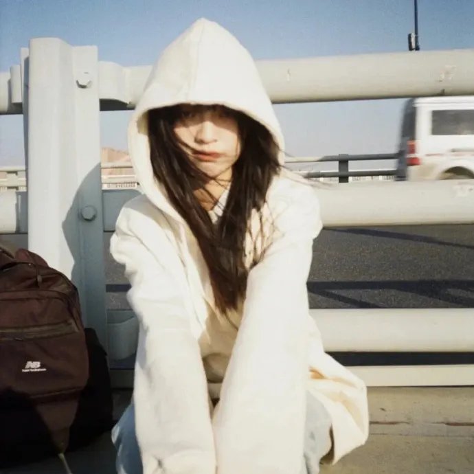 大卫贝肯之倒霉特工熊