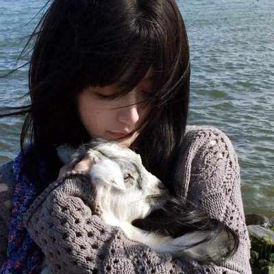 腌黄瓜先生第二季